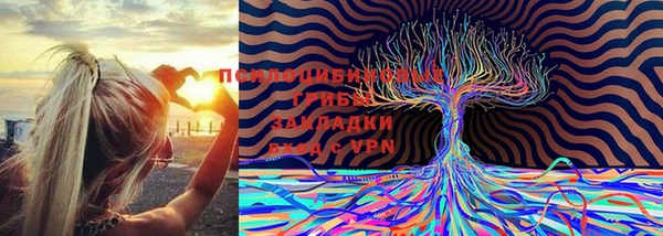 прущие крисы Балабаново