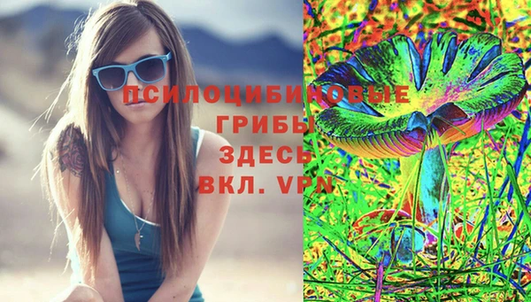 Альфа ПВП Балахна