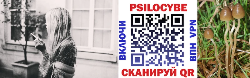 нарко площадка как зайти  купить наркотики сайты  Ессентуки  Псилоцибиновые грибы ЛСД 